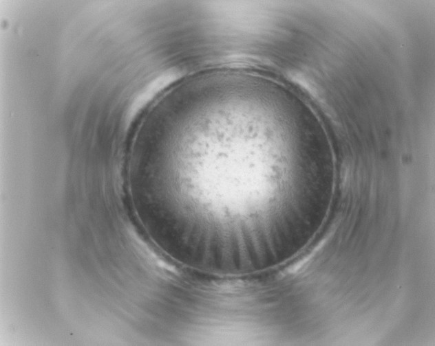 X0000088651410200706151956