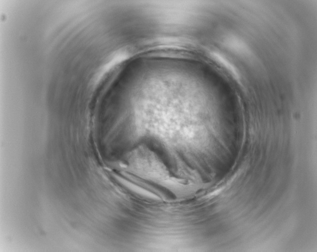 X0000088651411200706151956