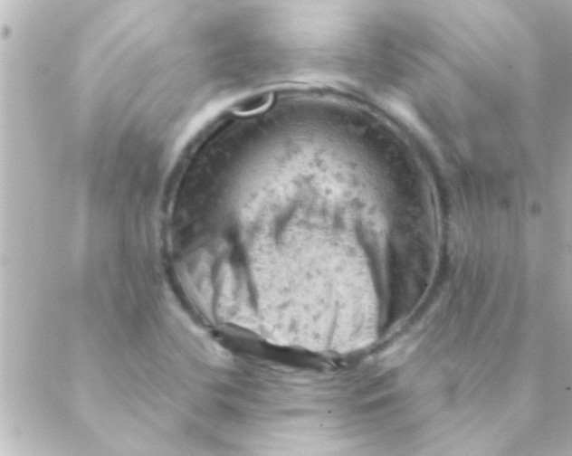 X0000088651412200706151956