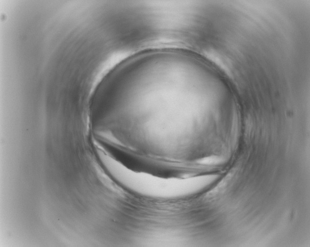 X0000088651413200706151956