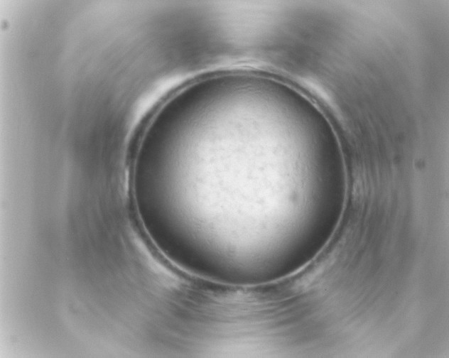 X0000088651414200706151956