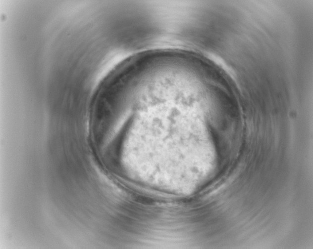 X0000088651415200706151956