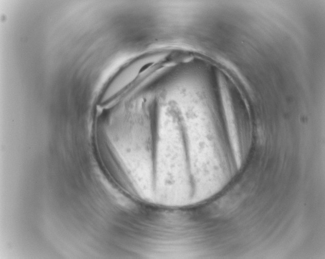 X0000088651416200706151956