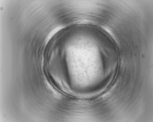 X0000088651418200706151956