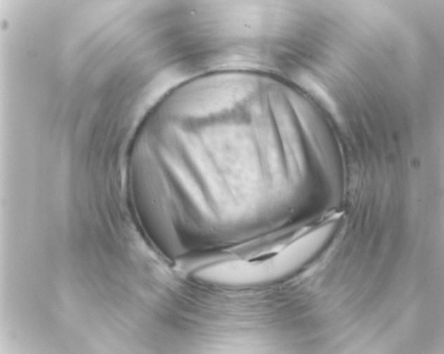 X0000088651419200706151956