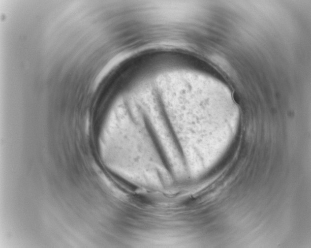 X0000088651420200706151956