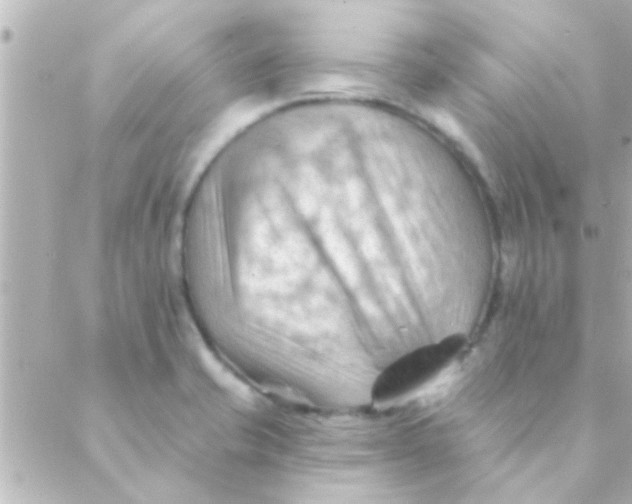 X0000088651421200706151956