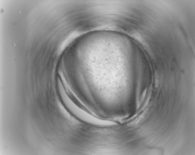 X0000088651422200706151956