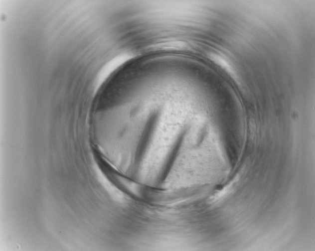 X0000088651426200706151956