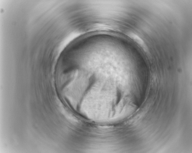 X0000088651427200706151956