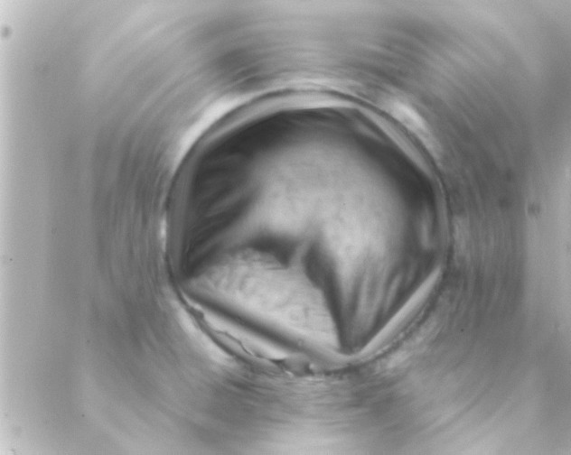 X0000088651428200706151956