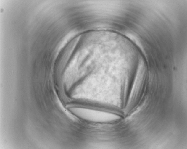 X0000088651429200706151956