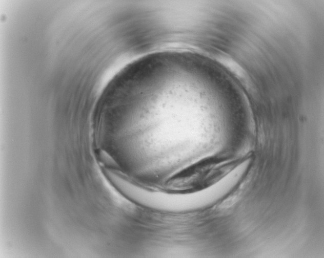 X0000088651430200706151956