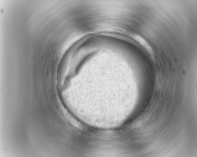 X0000088651431200706151956