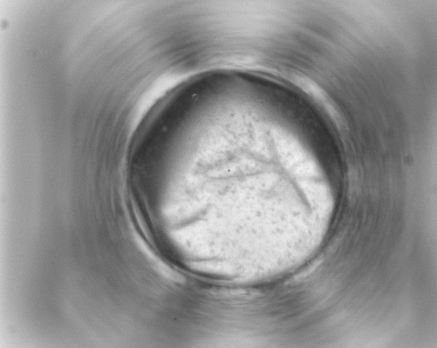 X0000088651432200706151956