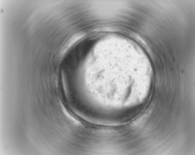 X0000088651433200706151956