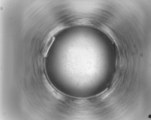 X0000088651434200706151956