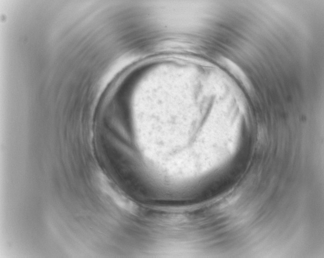 X0000088651435200706151956