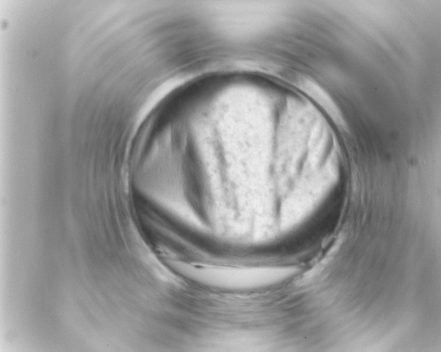 X0000088651436200706151956