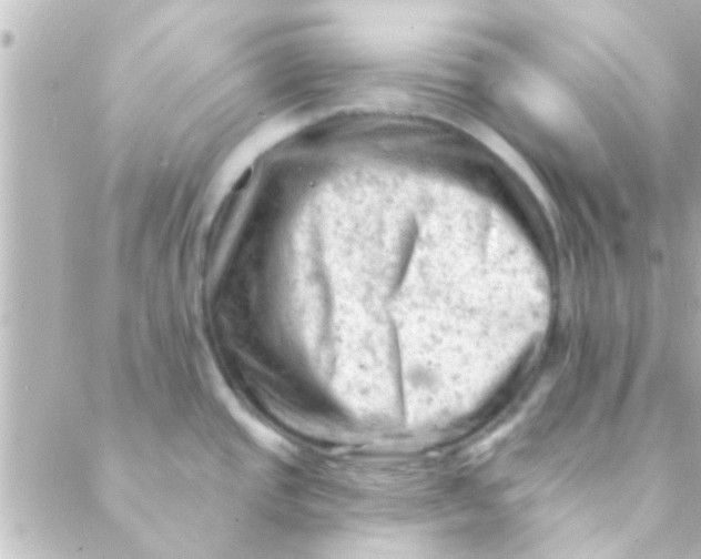 X0000088651437200706151956