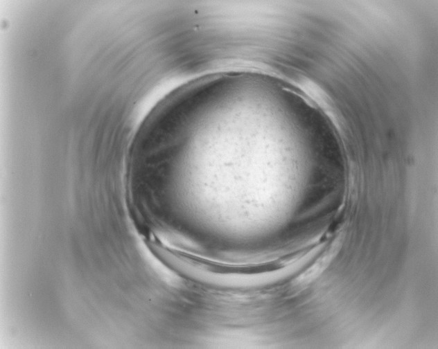 X0000088651438200706151956