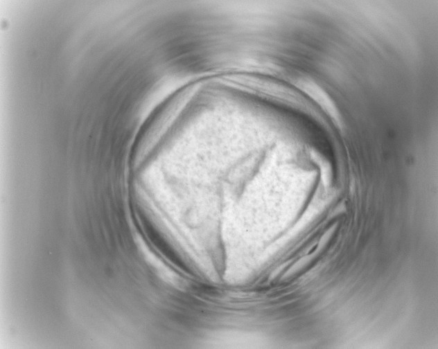 X0000088651439200706151956