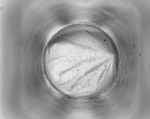 X0000088651440200706151956