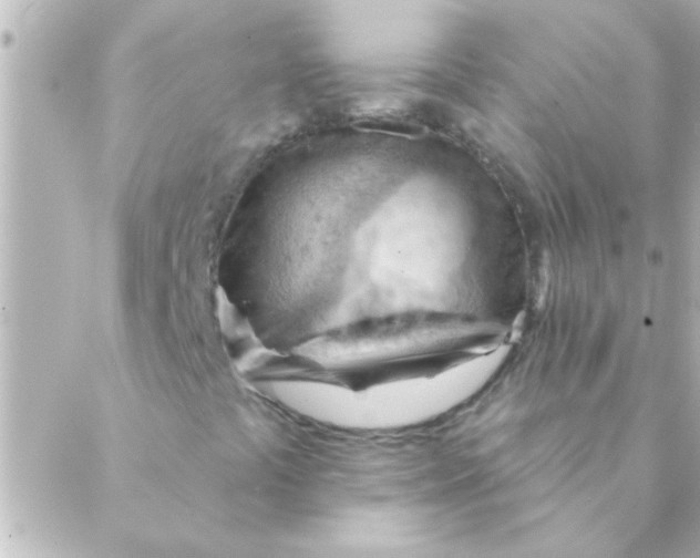 X0000088651441200706151956