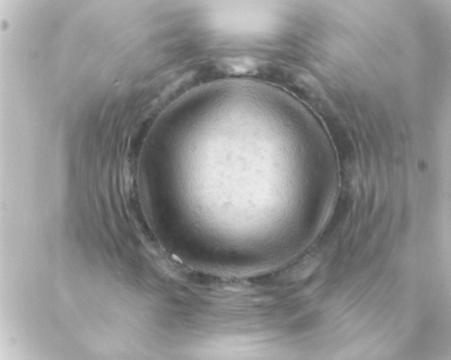 X0000088651442200706151955