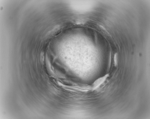 X0000088651443200706151955