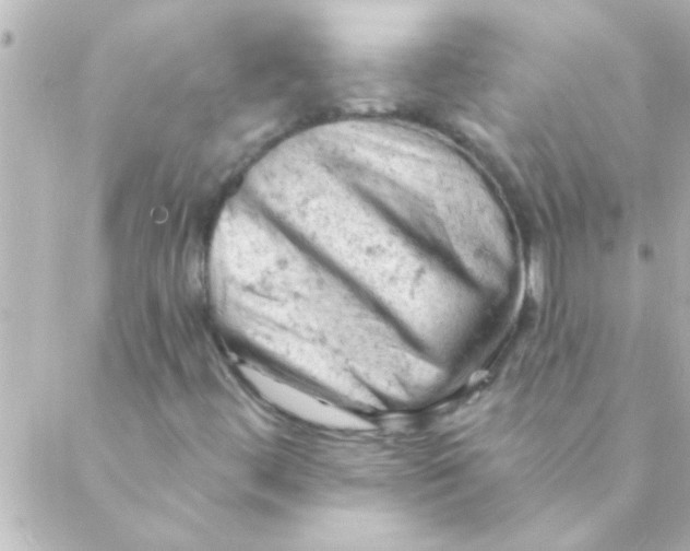 X0000088651444200706151955