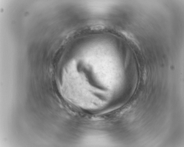 X0000088651445200706151955