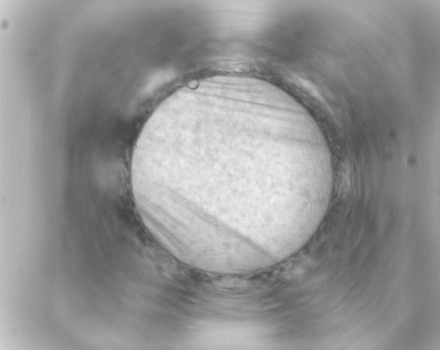 X0000088651446200706151955