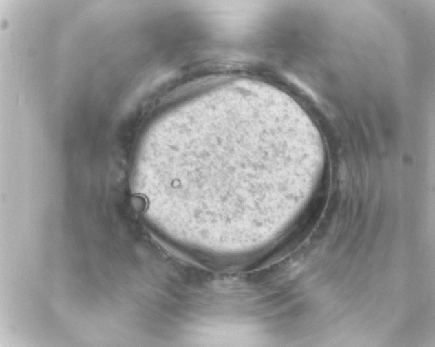 X0000088651447200706151955