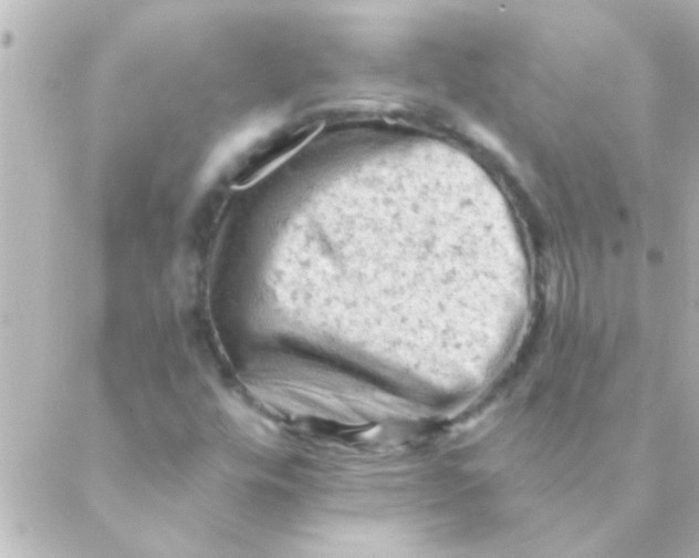 X0000088651448200706151955