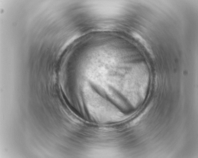 X0000088651449200706151955