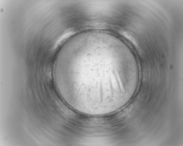 X0000088651451200706151955