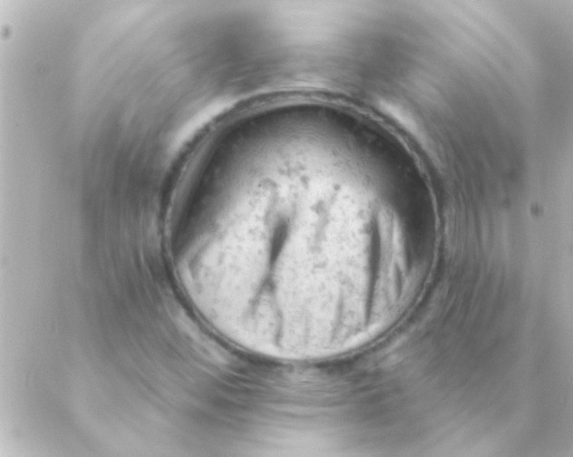 X0000088651452200706151955