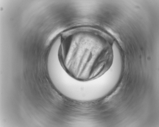 X0000088651453200706151955