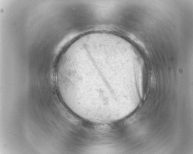 X0000088651454200706151955