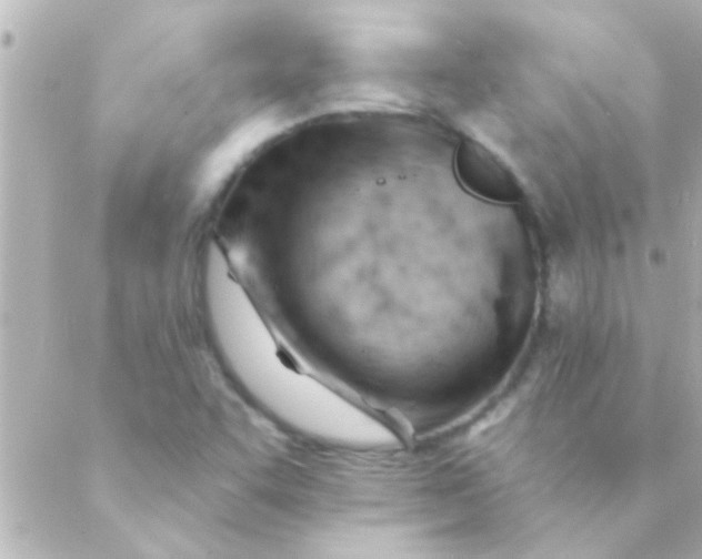 X0000088651455200706151955