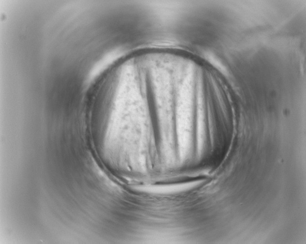 X0000088651456200706151955