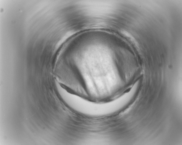 X0000088651457200706151955