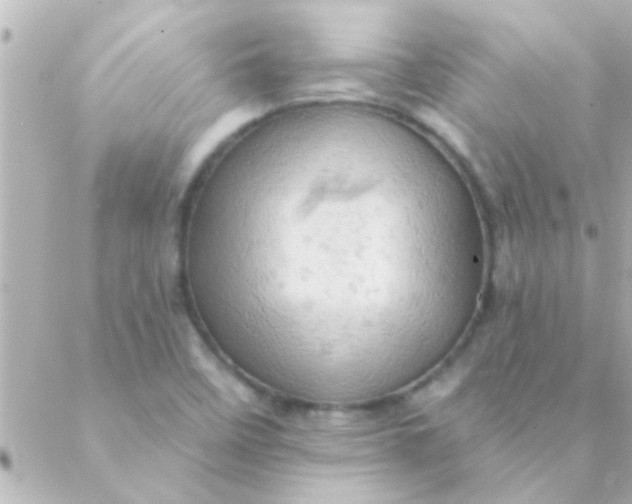 X0000088651458200706151955