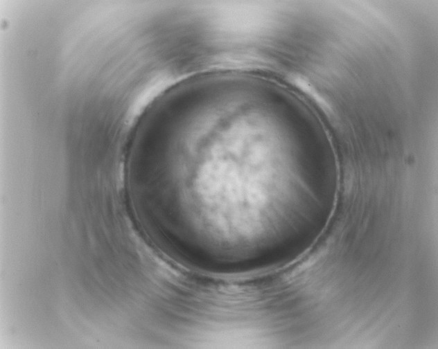 X0000088651459200706151955