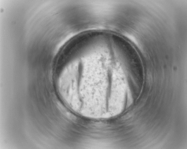 X0000088651460200706151955