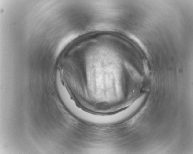 X0000088651461200706151955