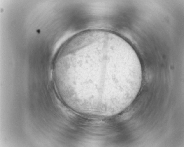 X0000088651462200706151955