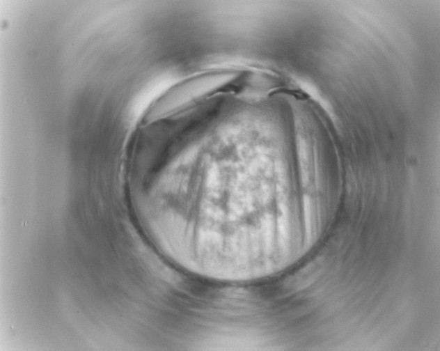 X0000088651463200706151955