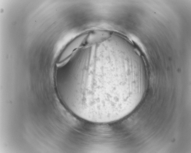 X0000088651464200706151955